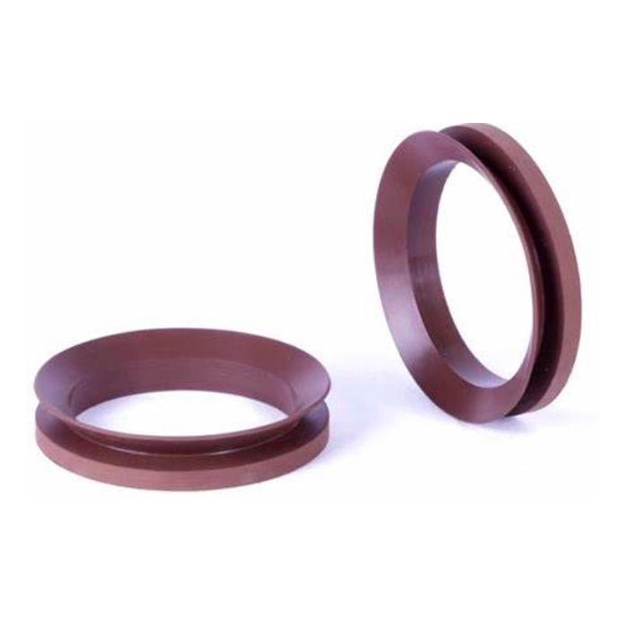 Piston Seal Ring